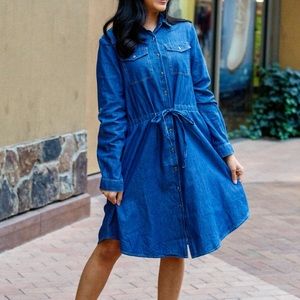 Josie Denim Dress